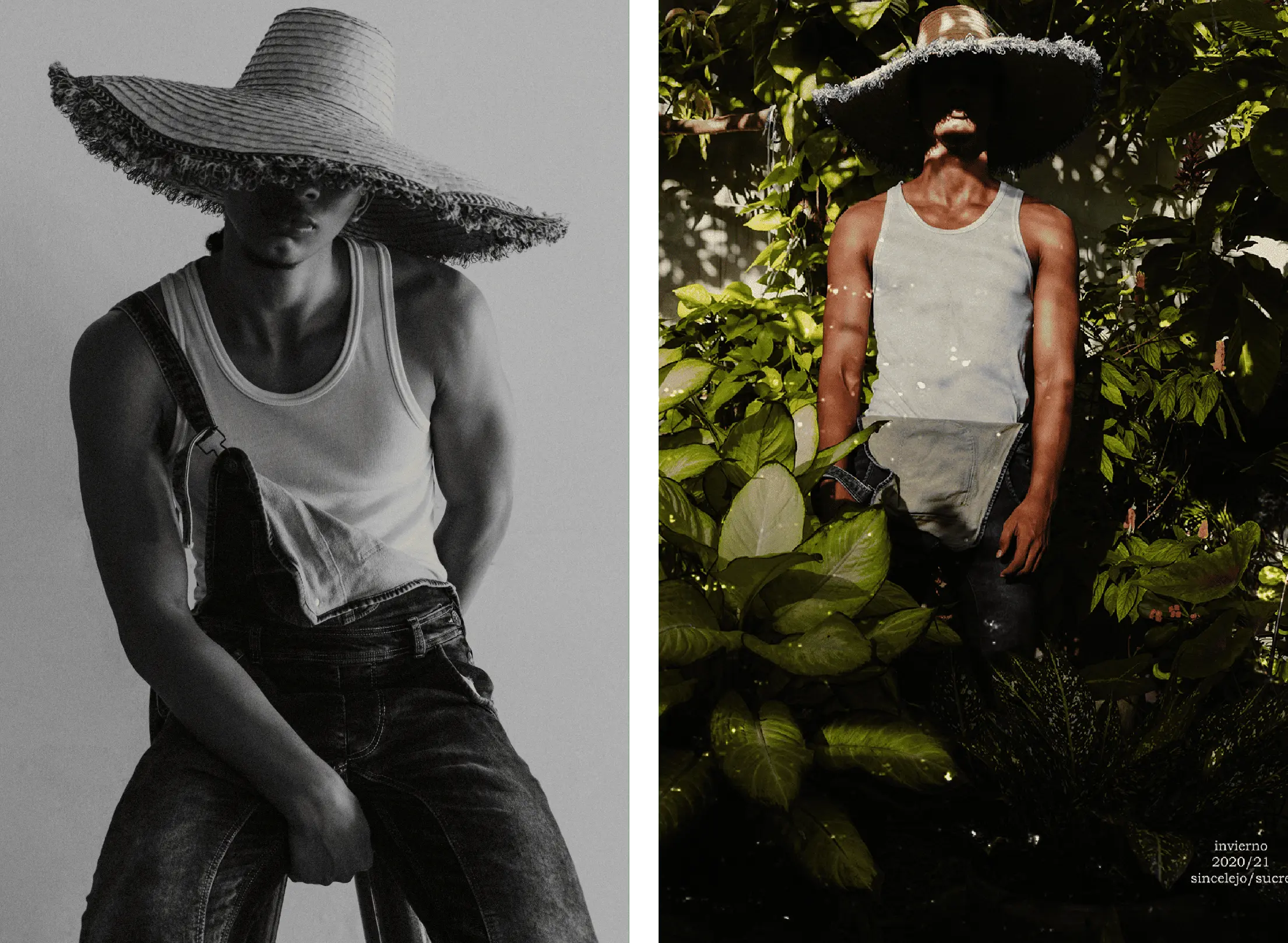 tRESPALACIOS-Modelo-Santa-Marta-Colombia_Mesa-de-trabajo-1-copia